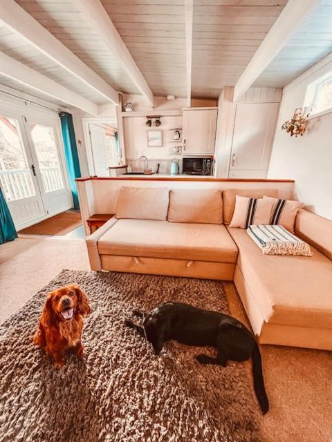 Villa Blankednick Boltholes - 3 Beautiful Family Or Couples Cornish Getaways Truro Exterior foto